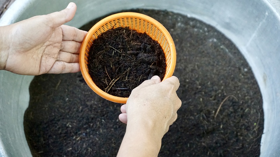 7 Cara Menanam Sayuran Organik di Rumah. Bebas Kimia, Tinggal Panen Aja