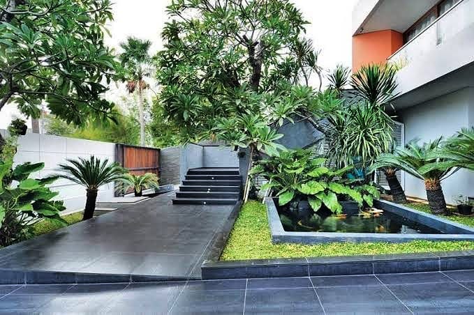 desain taman belakang rumah minimalis