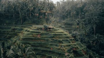 Nggak Selalu Mahal, Ini 6 Wisata Murah di Ubud yang Bisa Jadi Pilihan Liburan Nanti