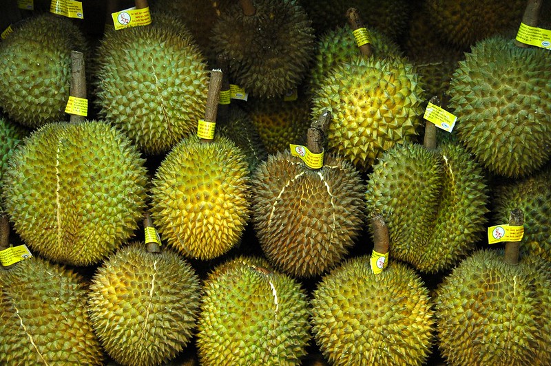  Jenis Durian bawor
