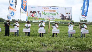 Sasar Petani Milenial, ‘Program Makmur’ Pupuk Kaltim Tingkatkan Produktivitas Semangka di Jember Hingga 117 Persen