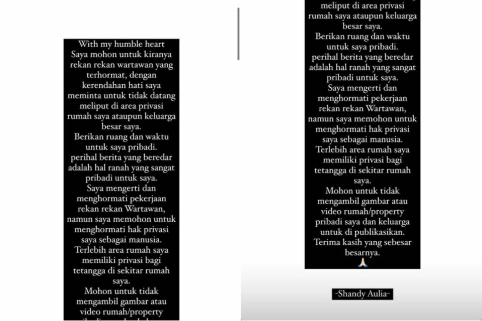 Buka Suara Setelah Kabar Perceraiannya Jadi Perbincangan, Shandy Aulia Minta Privasinya Tak Diusik