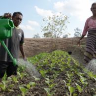 UNDP Luncurkan Indeks Kemiskinan Multidimensi, Indonesia Sebelum Pandemi Catat Kemajuan pada Dimensi Utama Kemiskinan