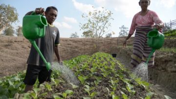 UNDP Luncurkan Indeks Kemiskinan Multidimensi, Indonesia Sebelum Pandemi Catat Kemajuan pada Dimensi Utama Kemiskinan