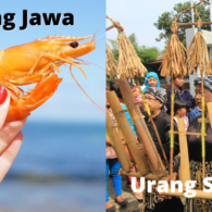 8 Perbedaan Arti Kata Bahasa Jawa vs Bahasa Sunda ini Bikin Obrolan Jadi Nggak Nyambung!