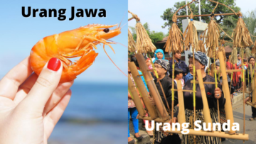 8 Perbedaan Arti Kata Bahasa Jawa vs Bahasa Sunda ini Bikin Obrolan Jadi Nggak Nyambung!