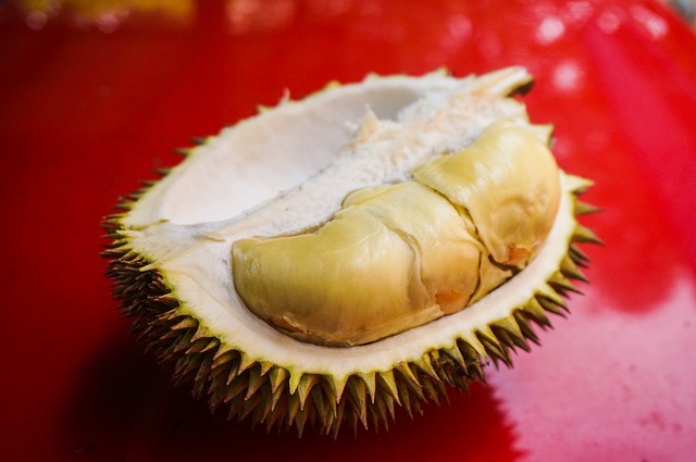  Jenis Durian montong