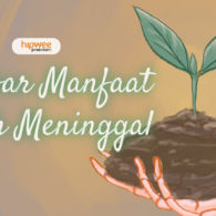 Melalui Beberapa Inovasi Ini, Jasad Manusia Bisa Tetap Bermanfaat Setelah Meninggal