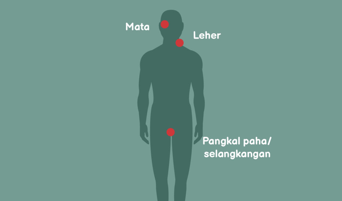11 Bekal Penting agar Terhindar dari Kejahatan Saat Hidup Sendiri. Nggak Waswas Lagi~ 8 11 Bekal Penting agar Terhindar dari Kejahatan Saat Hidup Sendiri. Nggak Waswas Lagi~