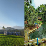 Desa Wisata Tamansari Banyuwangi: Potensi Keindahan Alam & Budaya