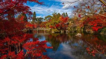 Gifu, Destinasi Wisata di Jepang bagi kamu yang Menginginkan Suasana Pedesaan yang Tenang