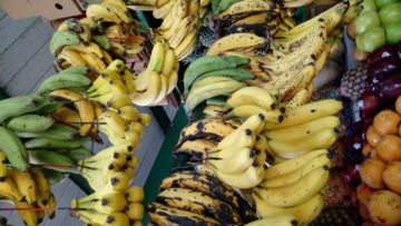 5 Cara Menyimpan Pisang Agar Tidak Cepat Busuk. Bisa Awet Beberapa Hari