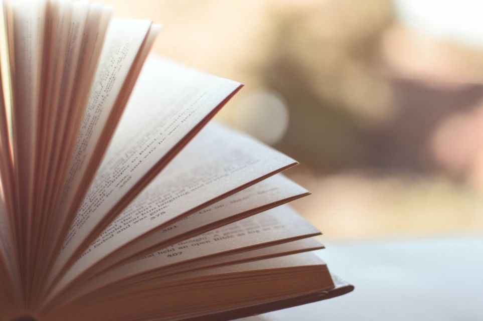 7 Contoh Resensi Novel dan Panduan Membuatnya. Beda dengan Sinopsis!