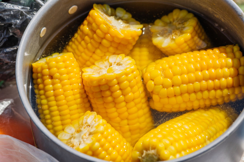 6 Cara Merebus Jagung Manis biar Empuk 18 Cara merebus jagung