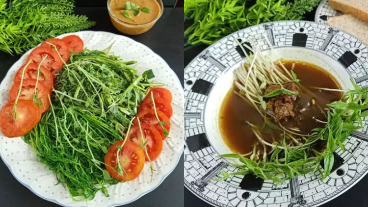 6 Cara Olah Microgreen untuk Menu Harian. Sehat dan Nggak Gampang Bosan