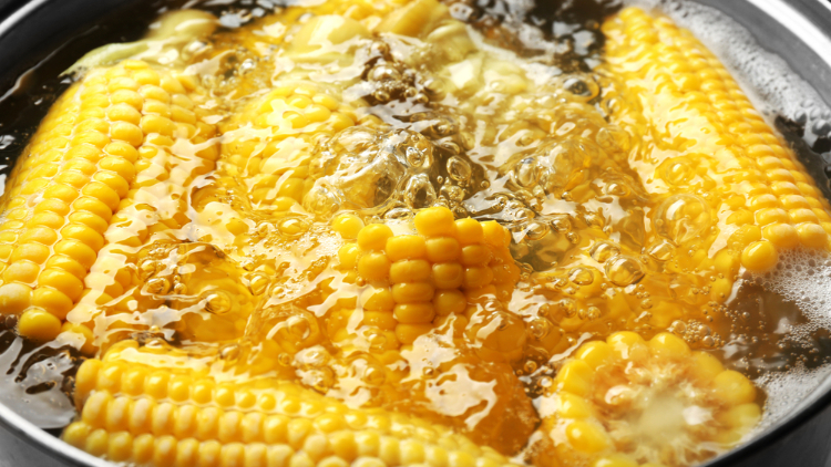 6 Cara Merebus Jagung Manis biar Empuk 14 Cara merebus jagung