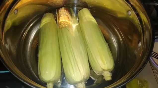 6 Cara Merebus Jagung Manis biar Empuk 16 Cara merebus jagung