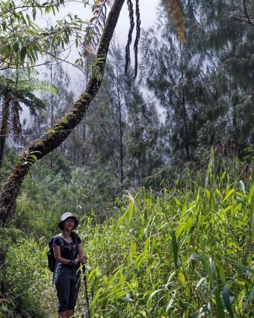 Kaos hitam polos untuk naik gunung