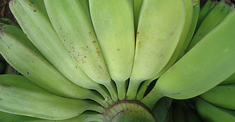 cara membuat keripik pisang