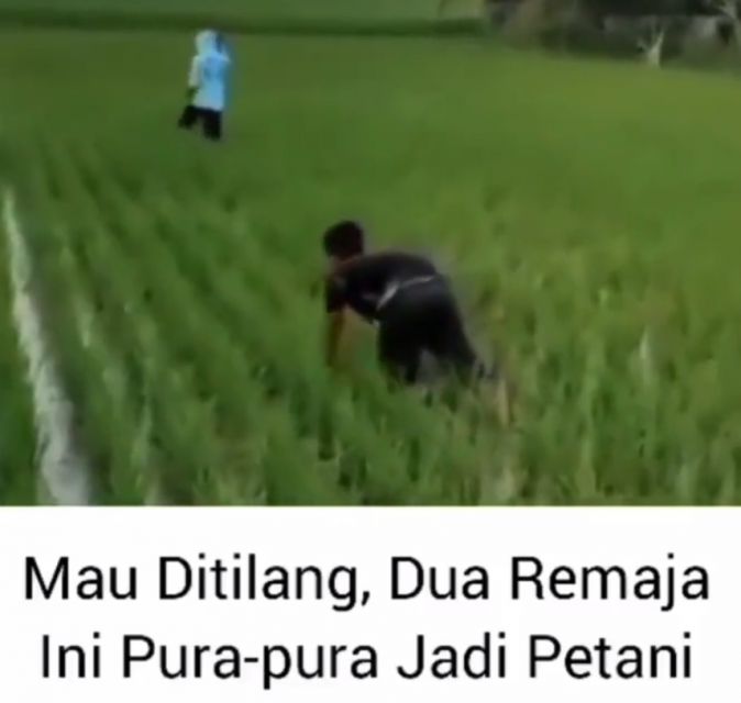 Cerita Warganet Kabur Saat Ditilang, Kalau Udah Kepepet Auto Kreatif!