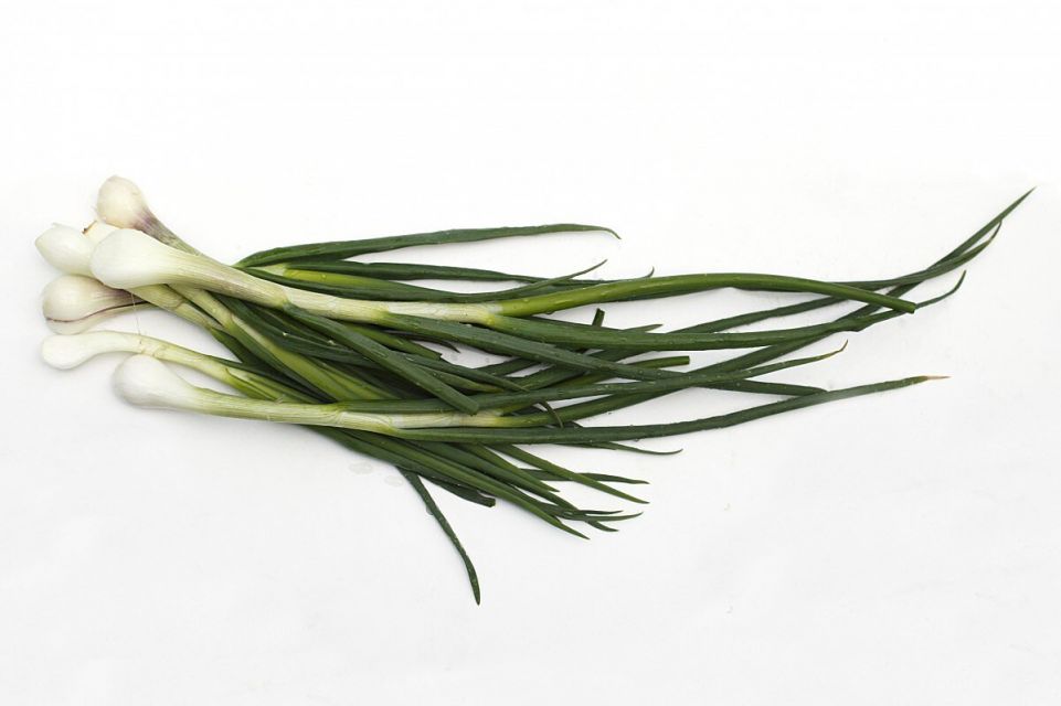 4 Jenis Daun Bawang yang Ukuran, Rasa, dan Kegunaannya Beda-beda