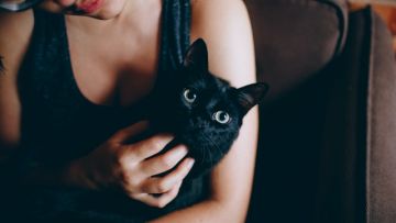 Suka Berinteraksi dengan Kucing? Kenali 5 Bagian Tubuh yang Boleh dan Nggak Boleh Disentuh