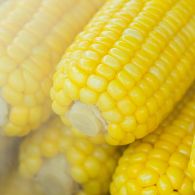 Kalori Jagung Rebus, Punya Nutrisi yang Tinggi