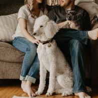 Tak Hanya Kucing dan Anjing, 6 Pilihan Hewan Lucu ini Juga Cocok Jadi Teman Bermain