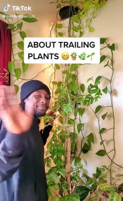 Garden Marcus
