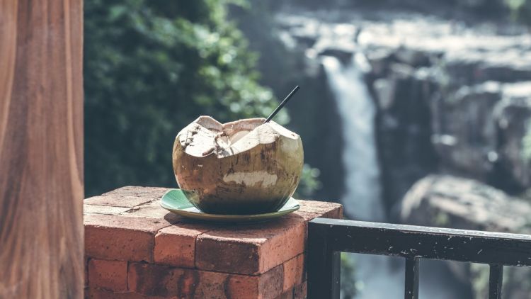 Tak Hanya Menyegarkan, ini 7 Manfaat Air Kelapa untuk Tubuh. Banyak!