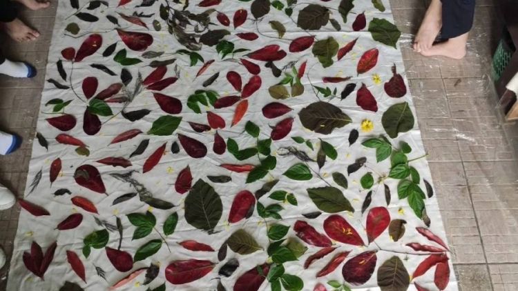 Pengunaan Teknik Ecoprint Untuk Perabotan Berbahan Kayu
