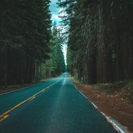 #WorldPoetryDay2022 – Tua nanti