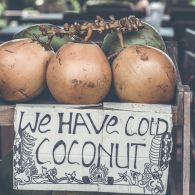 Tips Memilih Kelapa Kopyor yang Segar dan Banyak Dagingnya