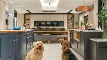6 Tips Ide Desain Interior Dog Friendly di Rumah Tinggal