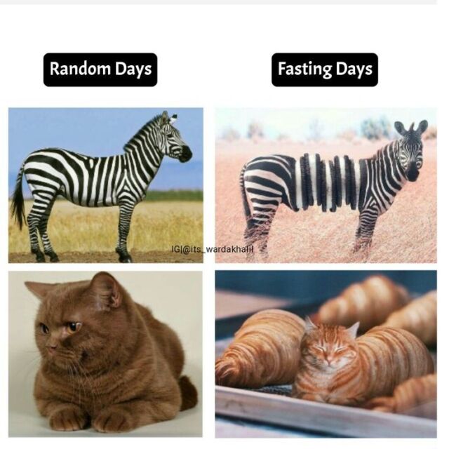 10 Kumpulan Meme Absurd Sambut Ramadan 2025, Relate Banget!