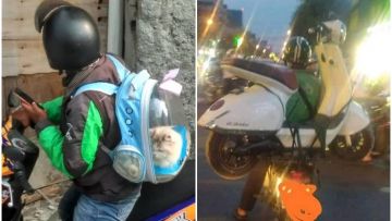 11 Potret Driver Ojol Dapat Orderan Absurd dari Pelanggan. Namanya Juga Berjuang~
