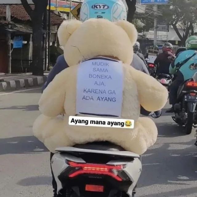 10 Aksi Kocak Mudik Lebaran 2022. Dari Curhat Sampai Bawa Hewan Peliharaan