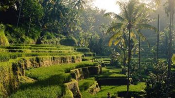 5 Destinasi Wisata Bali yang Wajib Dikunjungi, Nuansa Alamnya Dapat Banget!