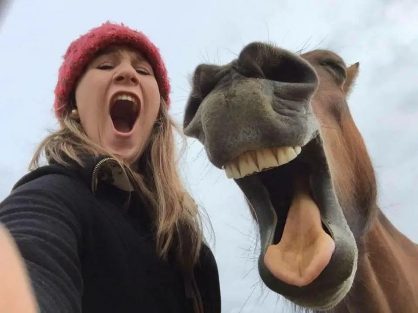 10 Kejadian Konyol di Kebun Binatang, Terbaru Orang Utan Tarik Pengunjung