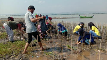 Hari Merdeka: di Mana Kemerdekaan untuk Alam dan Isinya