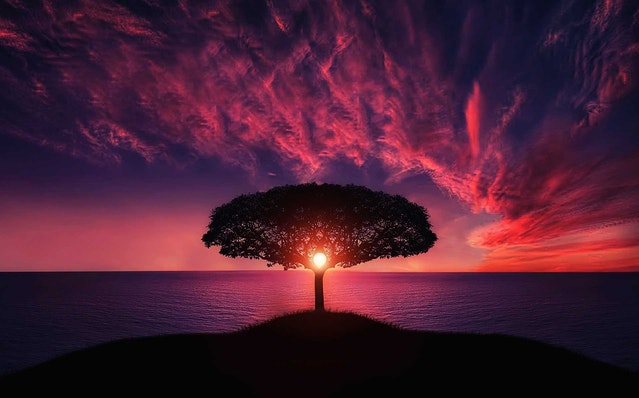 Foto oleh Pixabay dari Pexels