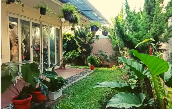 Instagram Ide Taman Teras Samping Rumah