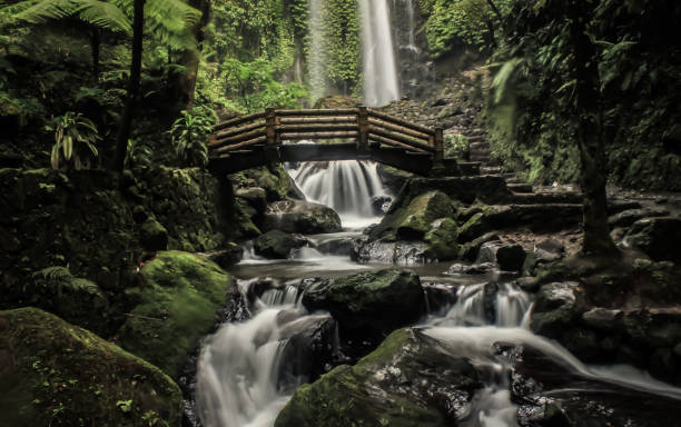 Air terjun jumog