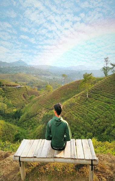 Kebun Teh Kemuning by @azizchp_