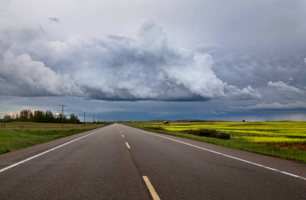 Photo by bobloblaw on iStock