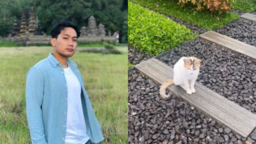 Pergi Ziarah, Ridwan Kamil Bagikan Video Kucing yang Setia Menunggui Makam Eril