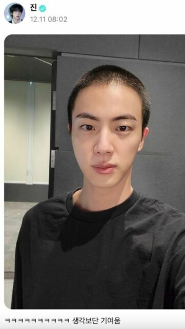Jin bts wamil