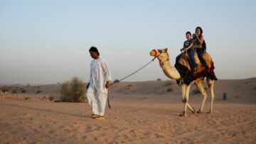 Unta-Unta di Qatar Lembur sampai Kelelahan, Layani Safari Gurun Para Turis Piala Dunia