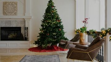 Jadi Simbol Perayaan Hari Raya Kristen, Kenapa Pohon Natal Identik dengan Pohon Cemara?