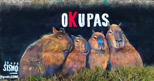 capybara menjadi maskot di Argentina